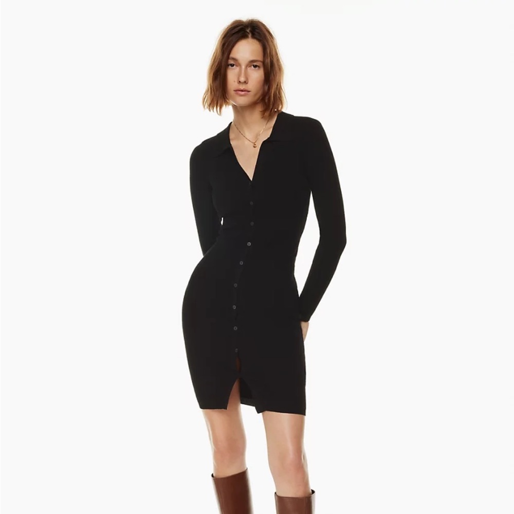Aritzia Wilfred Cove Dress